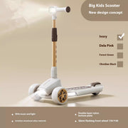 Foldable Scooter Music And Lighting
